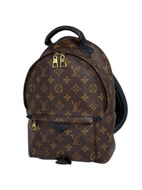Louis Vuitton Palm Springs Backpack PM Monogram Brown